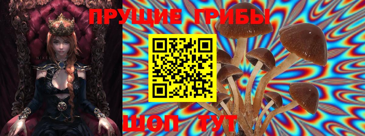 Галлюциногенные грибы Cubensis  Вход с VPN  Галлюциногенные грибы мицелий  Аргун 